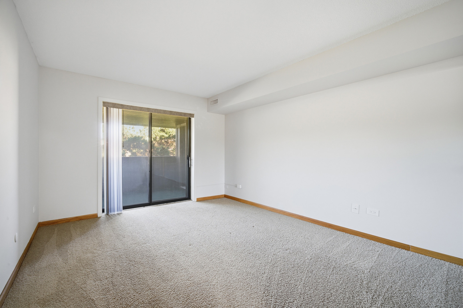 1255 N STERLING Avenue #206, Palatine, IL 60067