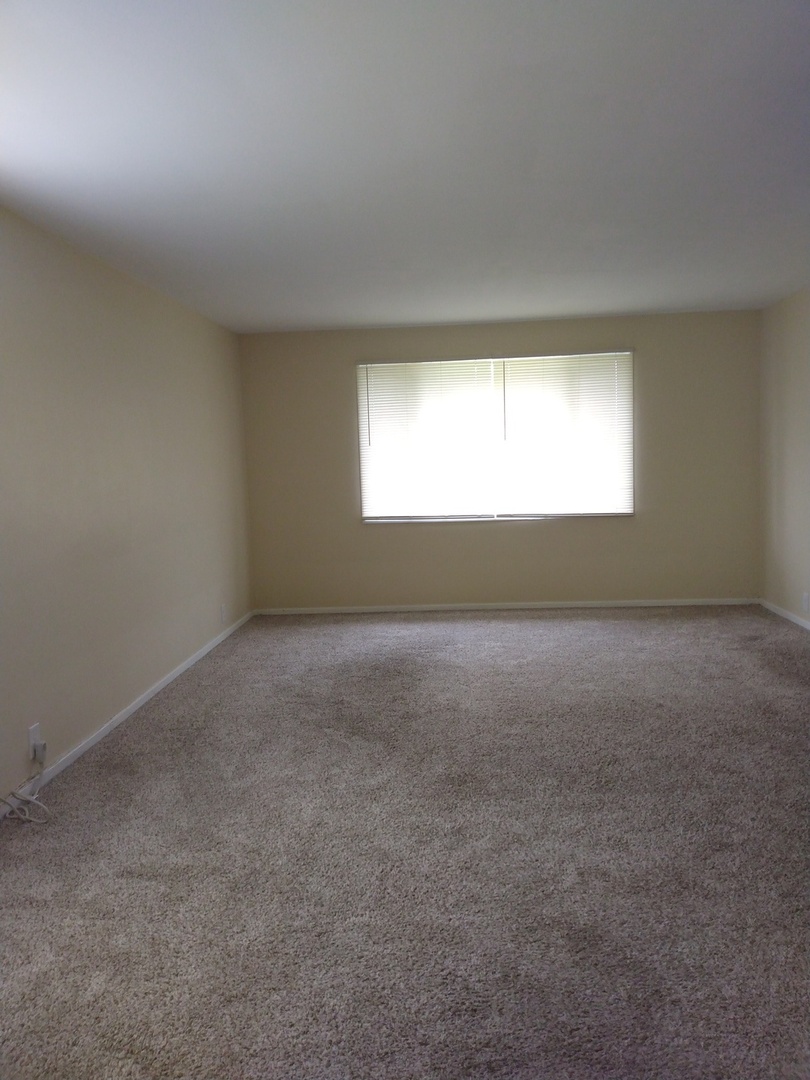 3484 Western Avenue #3484-B, Park Forest, IL 60466