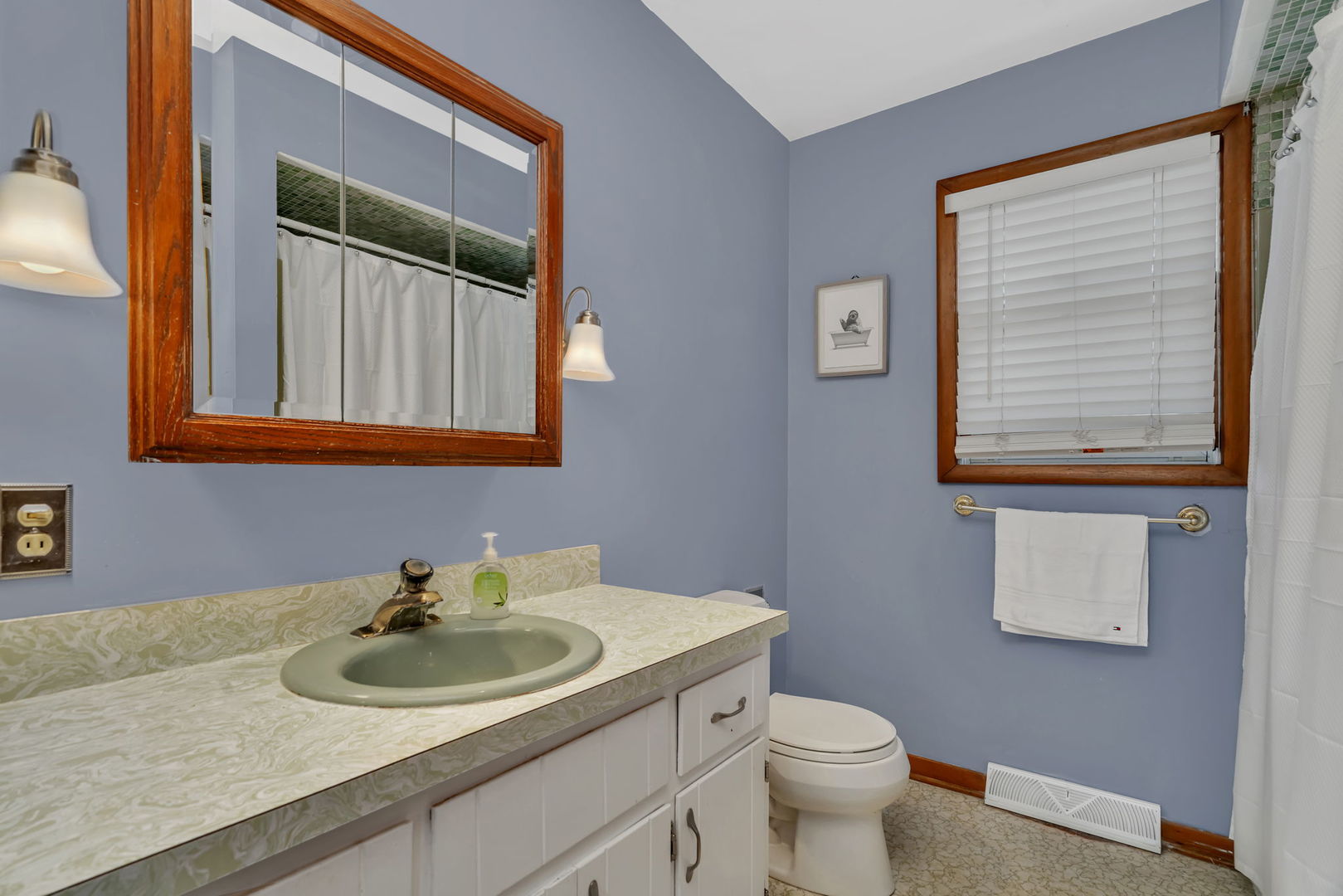 24055 S Lakeview Drive, Minooka, IL 60447