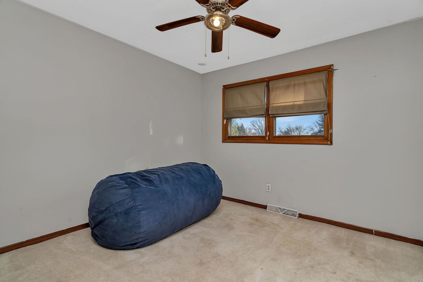 24055 S Lakeview Drive, Minooka, IL 60447