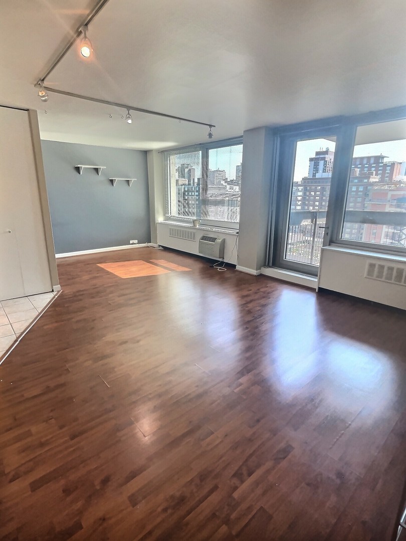 1255 N Sandburg Terrace #1608, Chicago, IL 60610