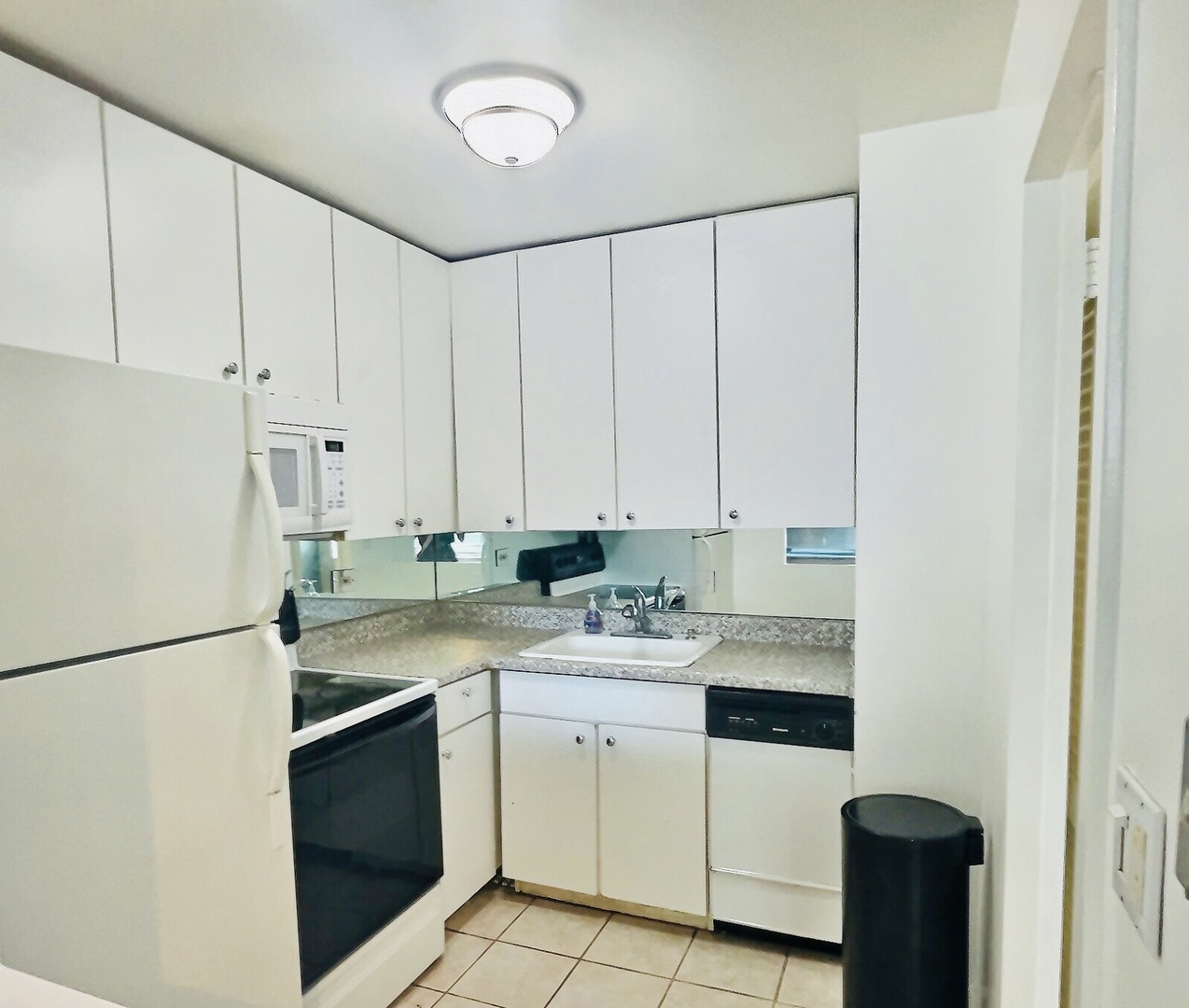 1255 N Sandburg Terrace #1608, Chicago, IL 60610