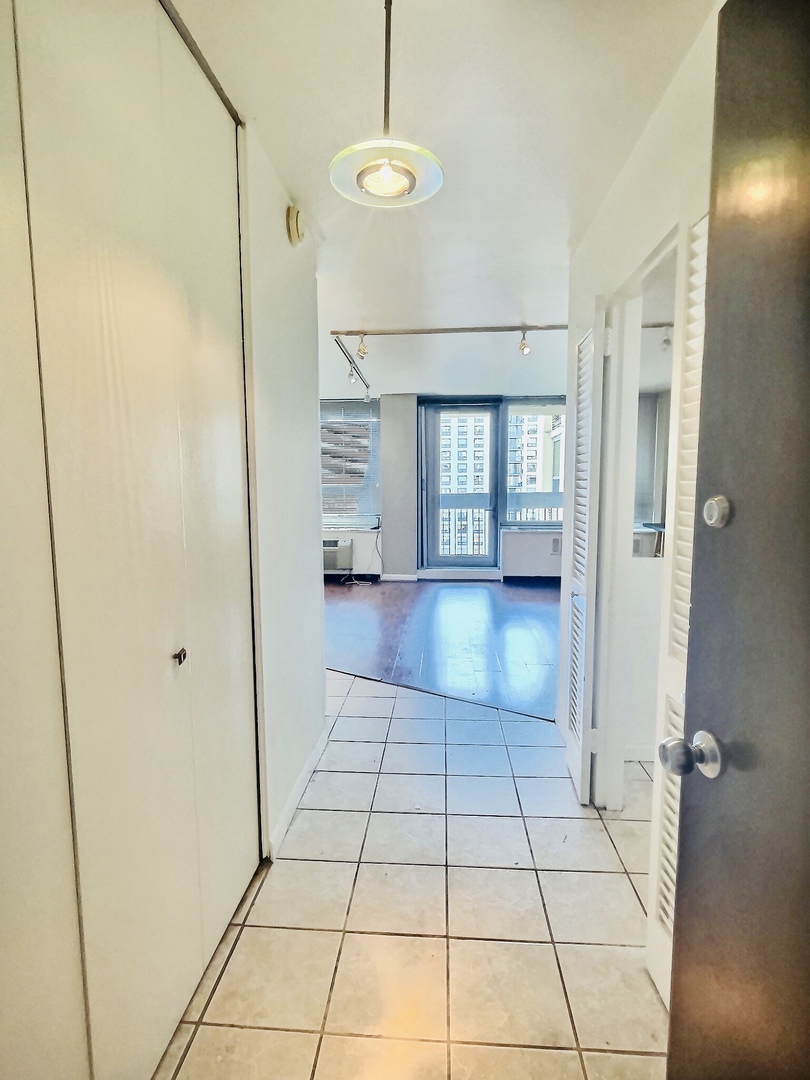 1255 N Sandburg Terrace #1608, Chicago, IL 60610