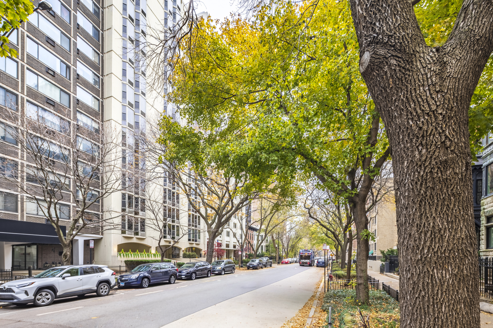 1340 N Dearborn Street #5C, Chicago, IL 60610