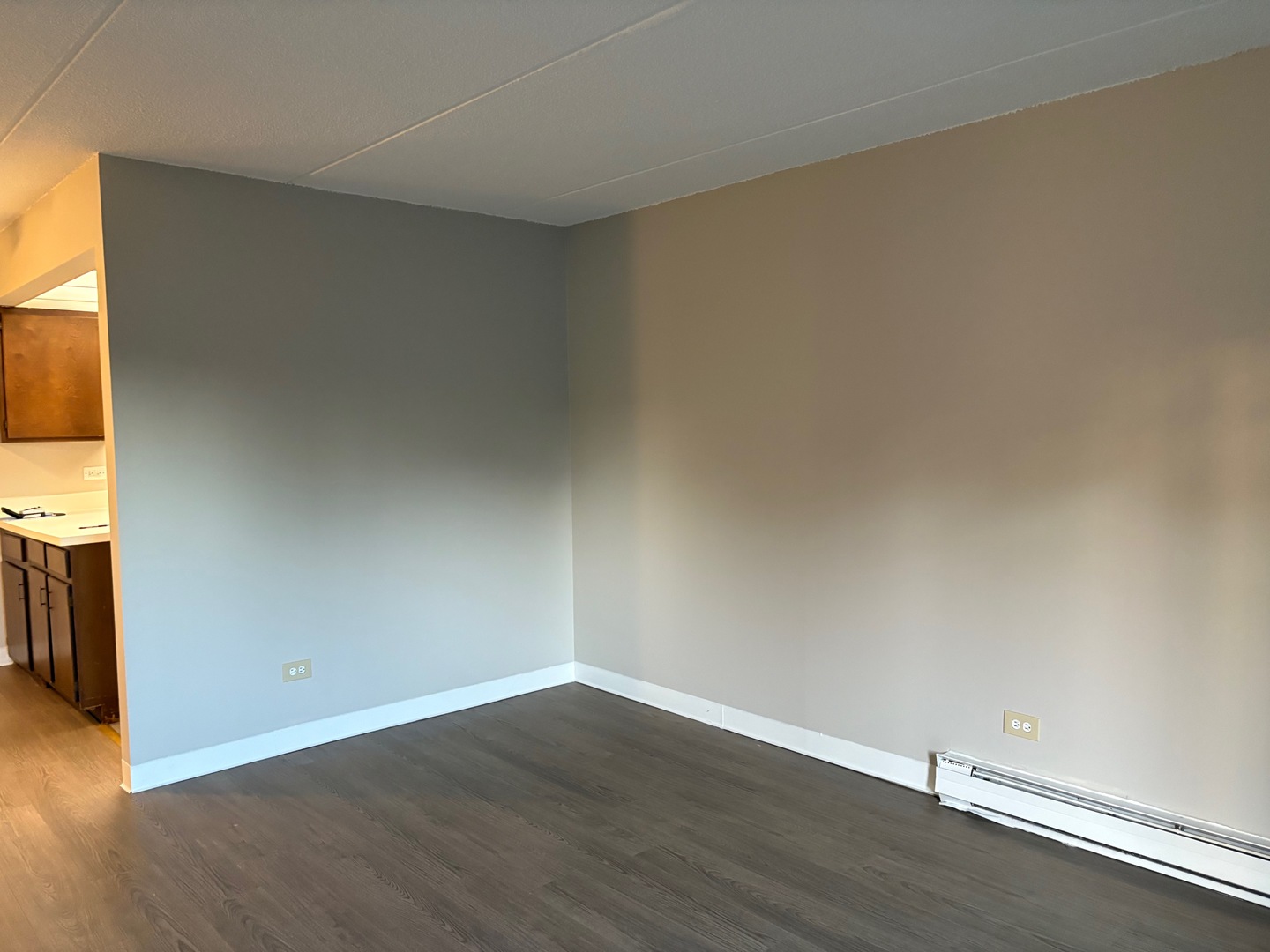 230 Springhill Drive #107, Roselle, IL 60172