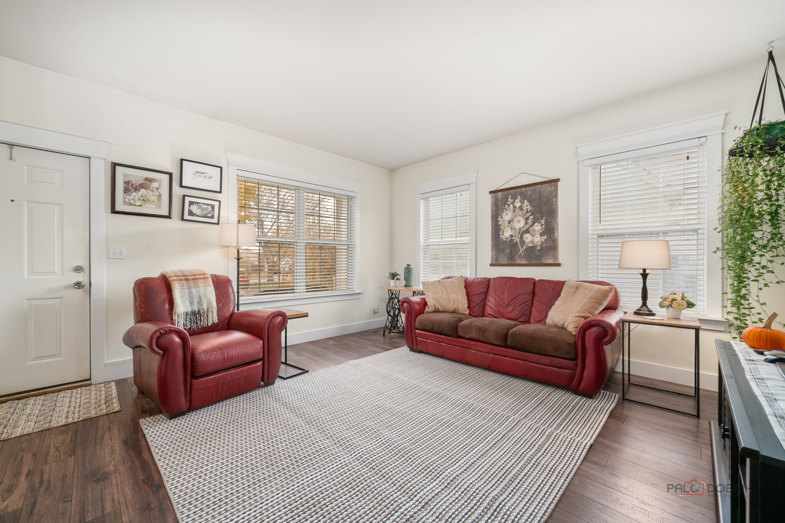 908 S Arlington Drive, Round Lake, IL 60073