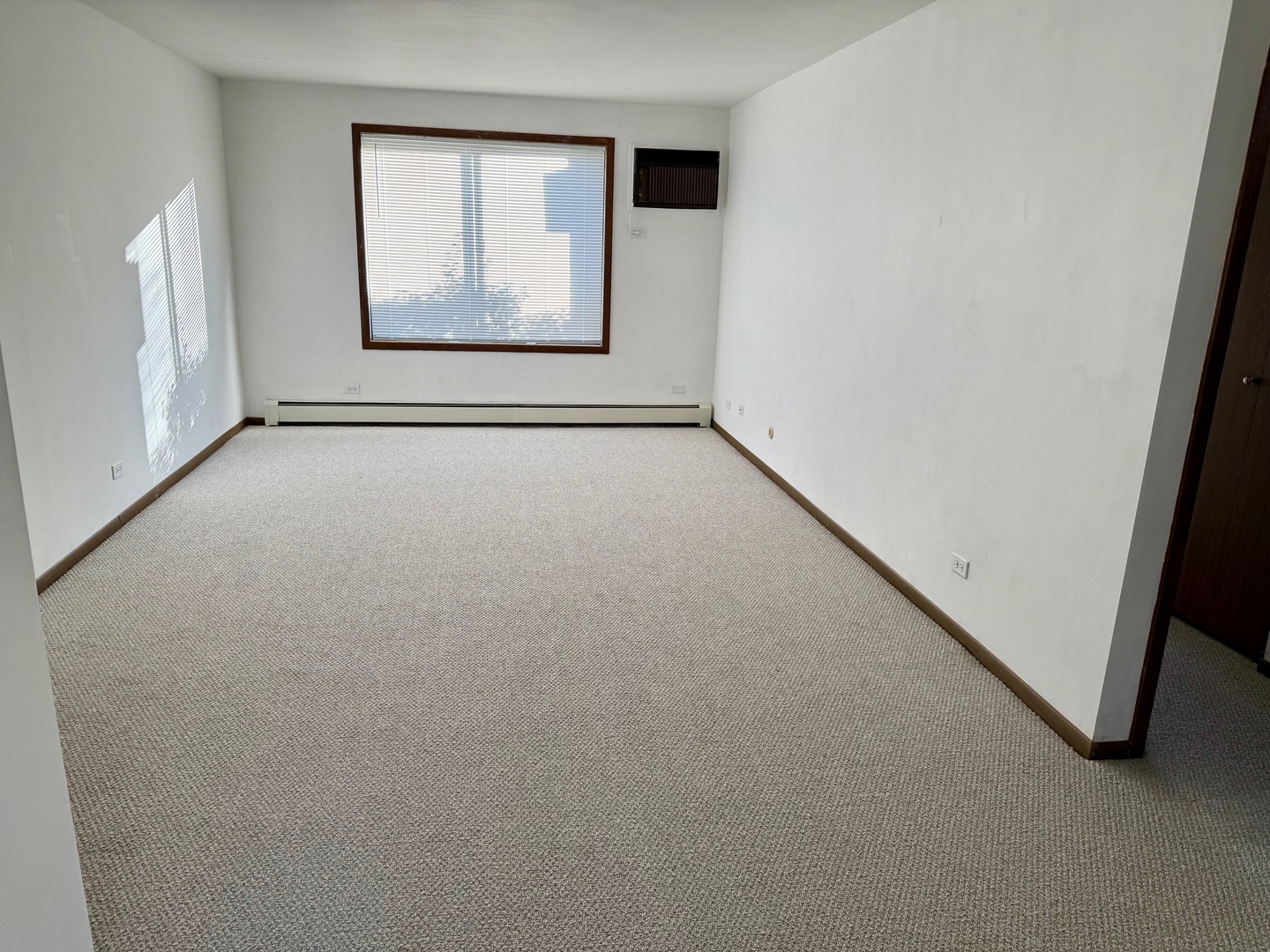 376 Echo Lane #1, Aurora, IL 60504