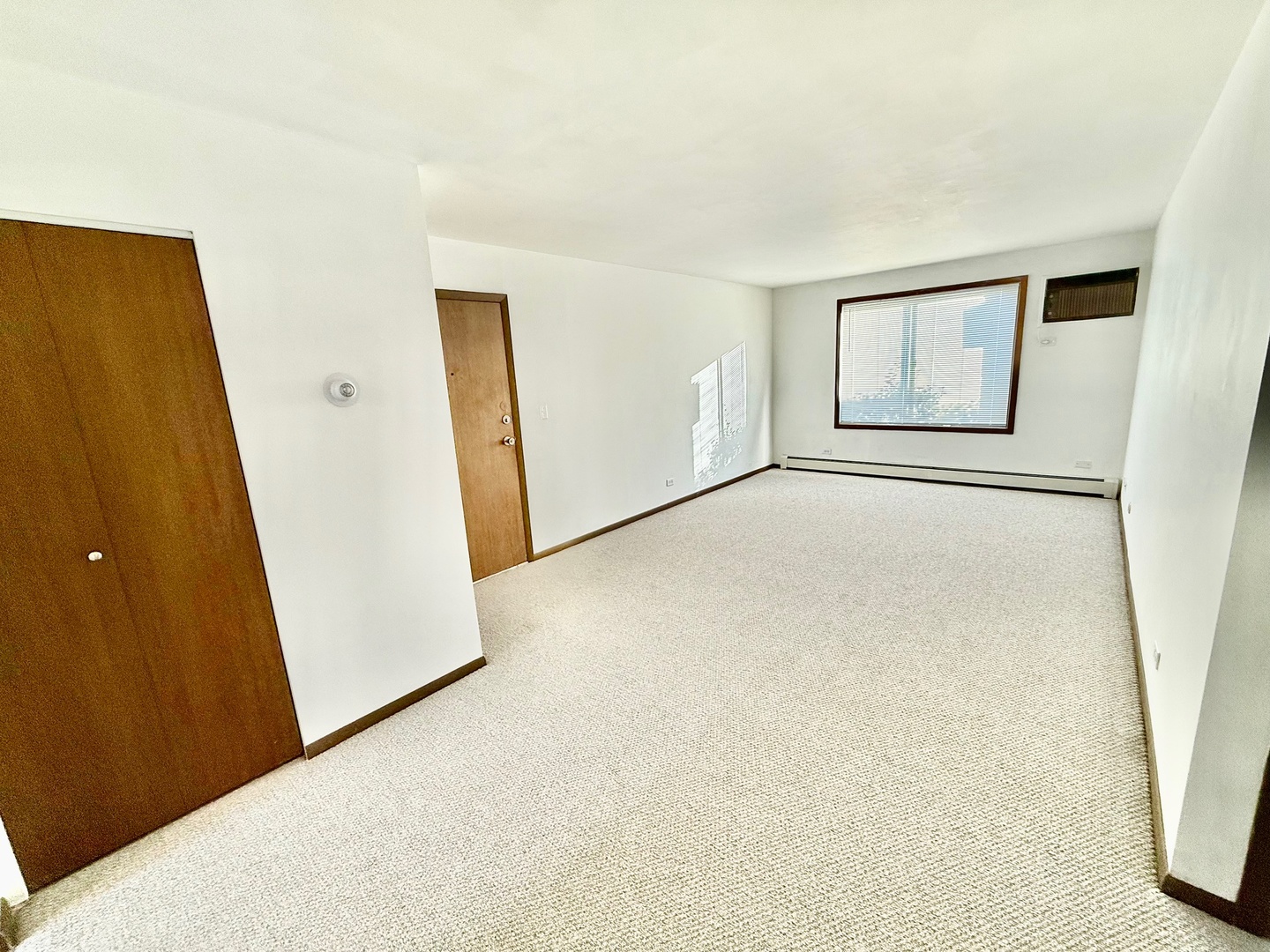 376 Echo Lane #1, Aurora, IL 60504