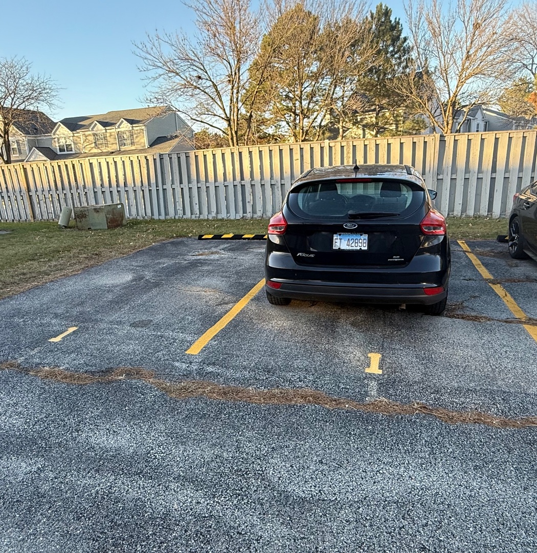 376 Echo Lane #1, Aurora, IL 60504