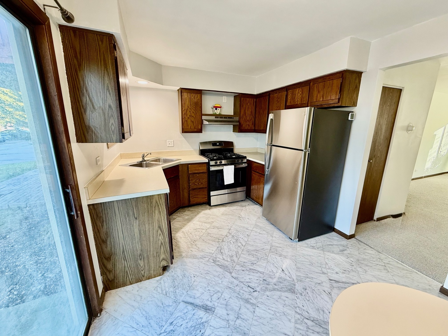 376 Echo Lane #1, Aurora, IL 60504