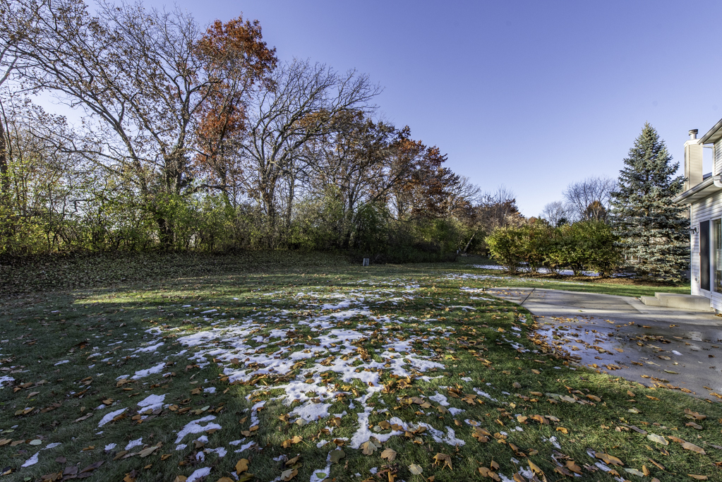 39128 N Ogden Lane, Beach Park, IL 60083