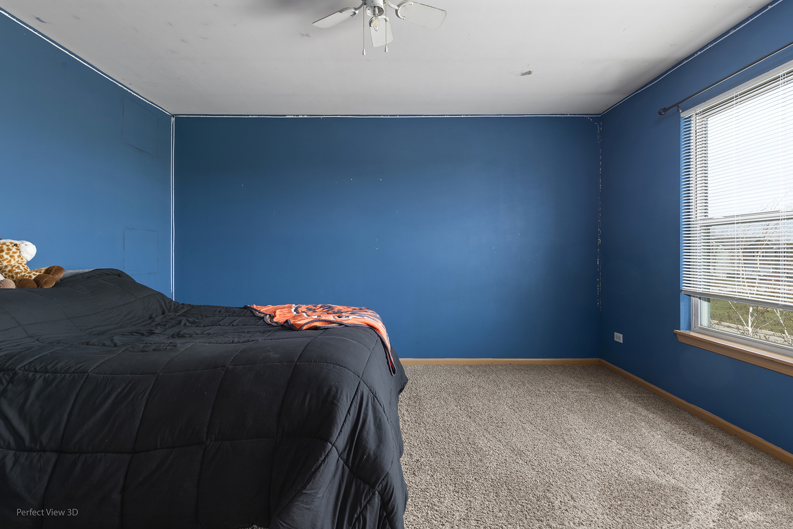 585 E Campbell Drive, Coal City, IL 60416