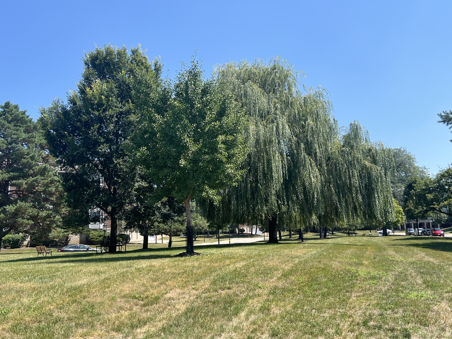 500 Thames Parkway #1F, Park Ridge, IL 60068