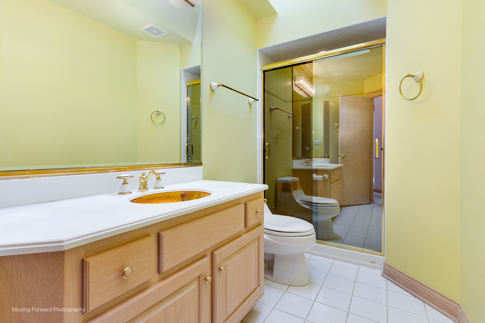 9370 Cascade Circle, Burr Ridge, IL 60527