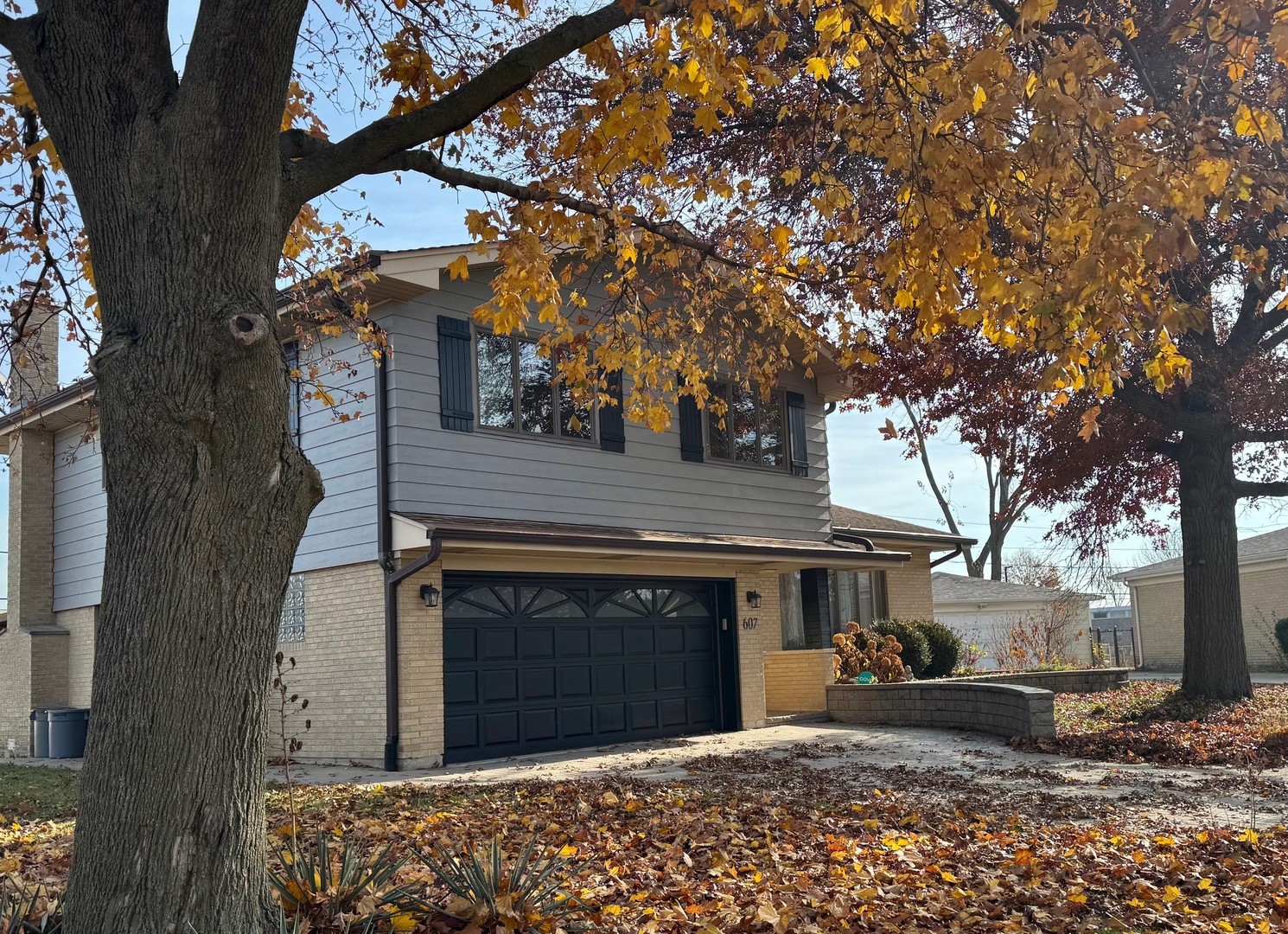 607 S Carol Lane, Mount Prospect, IL 60056