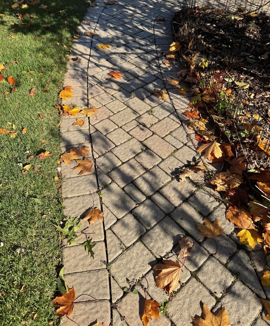 607 S Carol Lane, Mount Prospect, IL 60056