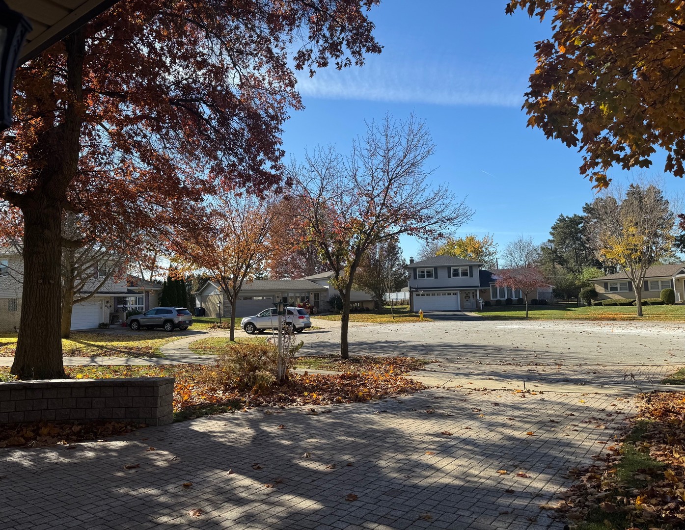 607 S Carol Lane, Mount Prospect, IL 60056