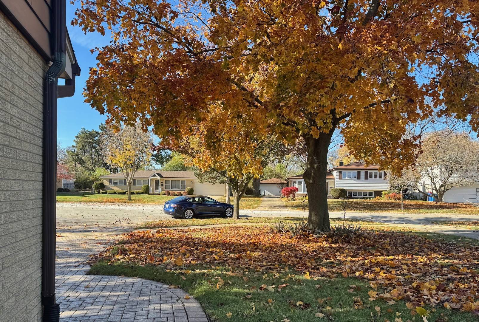 607 S Carol Lane, Mount Prospect, IL 60056