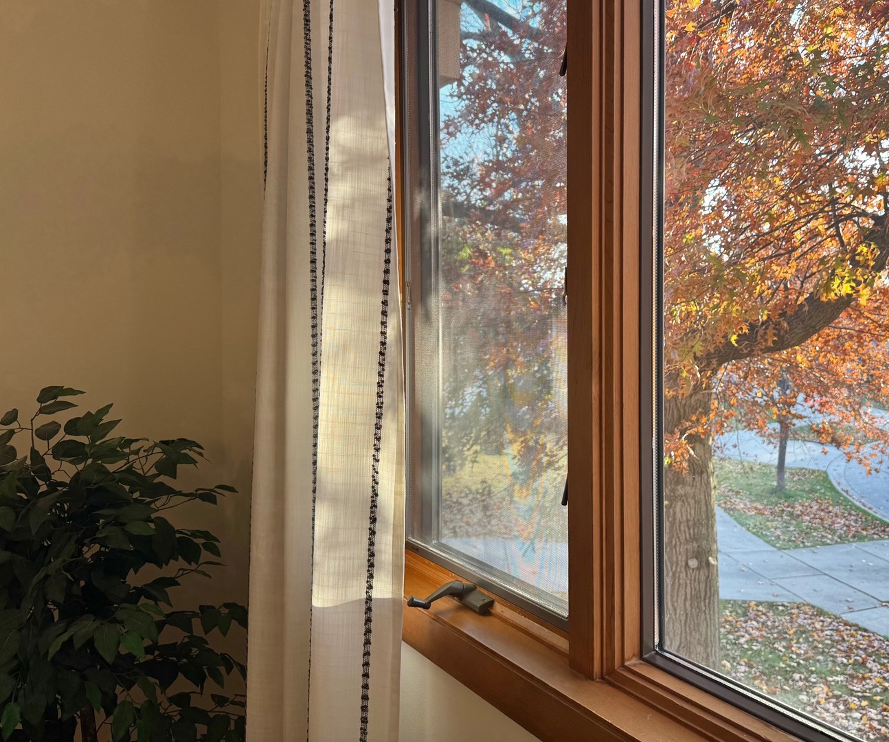 607 S Carol Lane, Mount Prospect, IL 60056