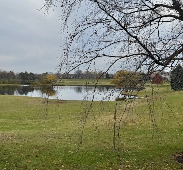 607 S Carol Lane, Mount Prospect, IL 60056