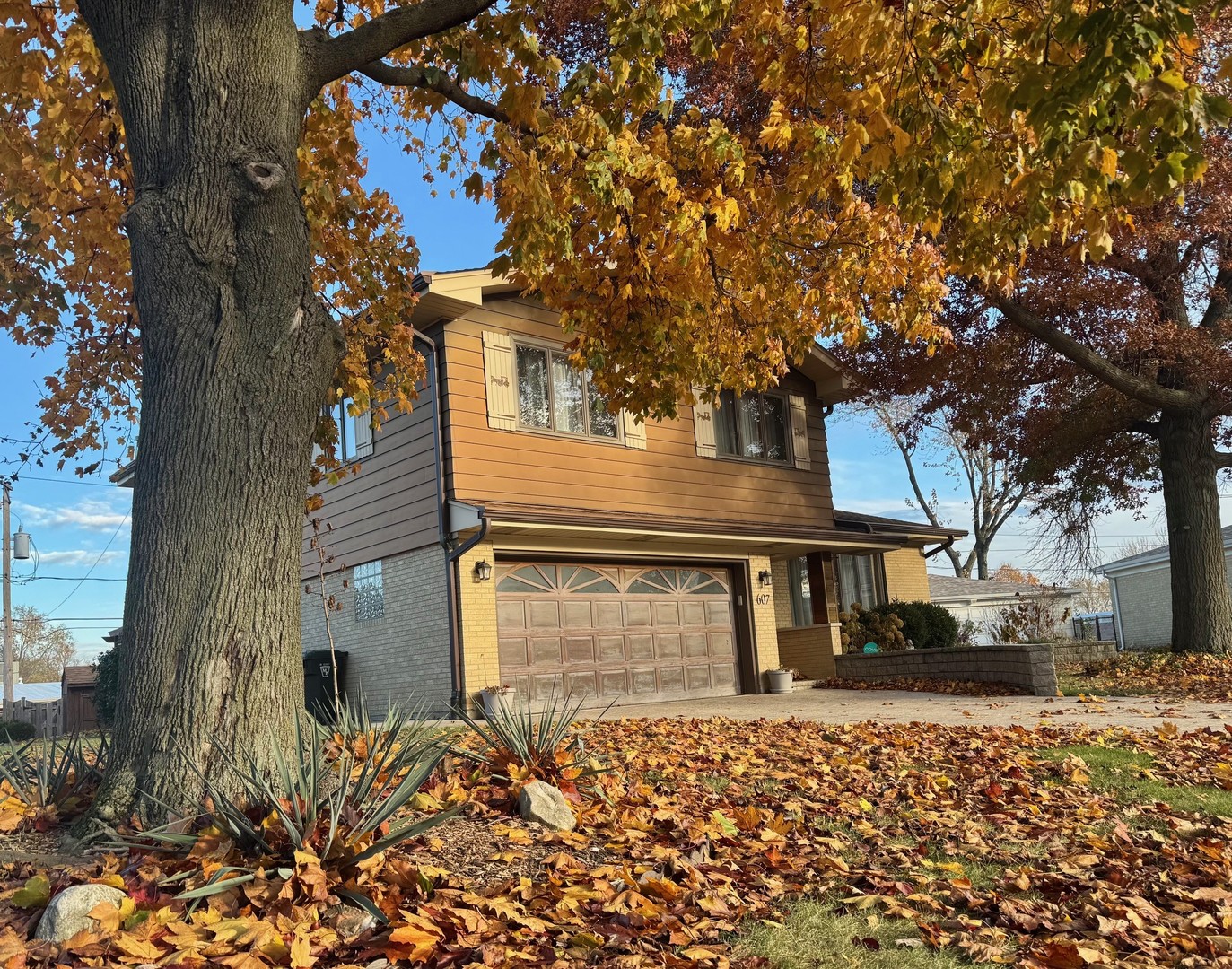 607 S Carol Lane, Mount Prospect, IL 60056