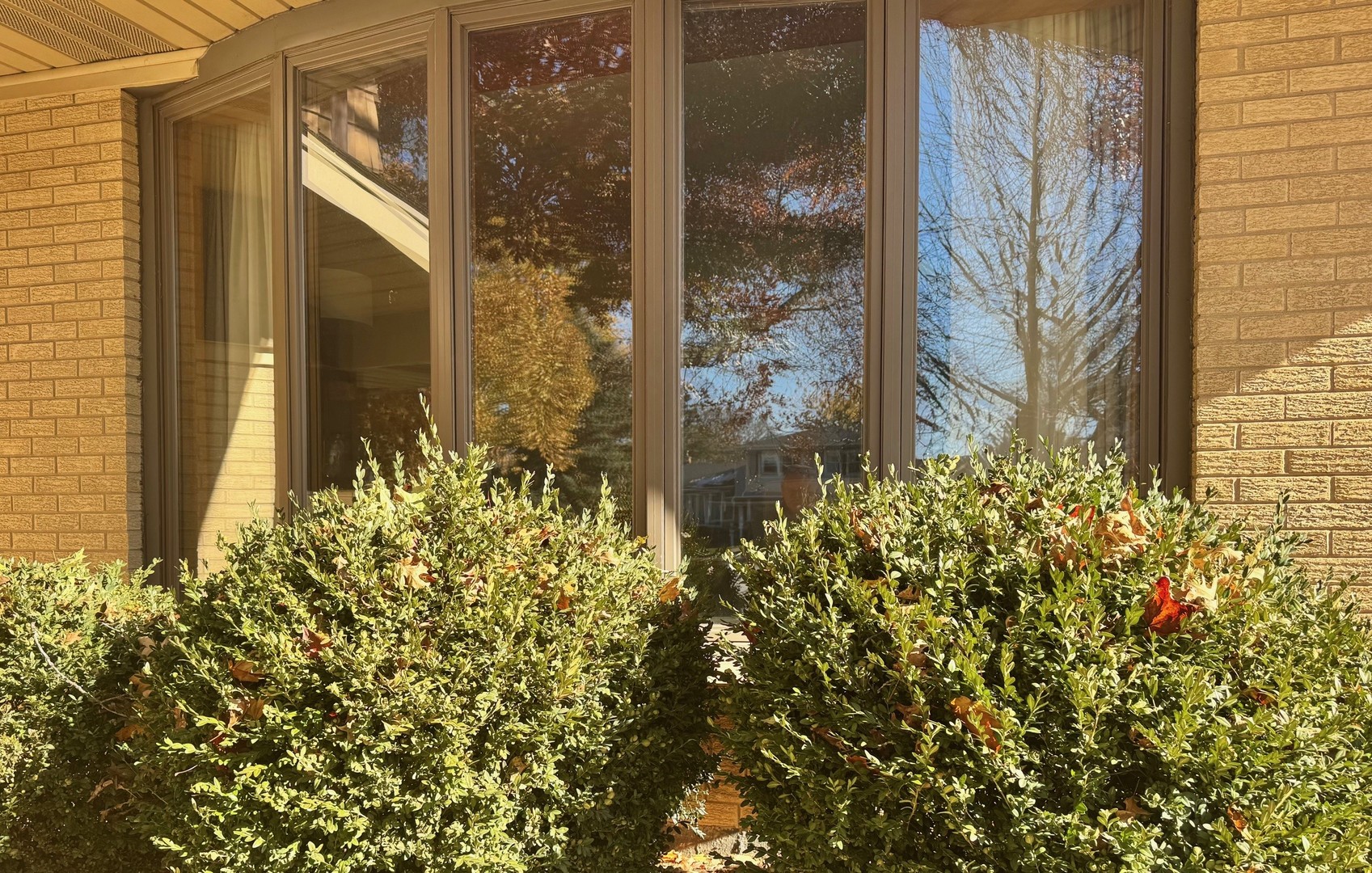 607 S Carol Lane, Mount Prospect, IL 60056