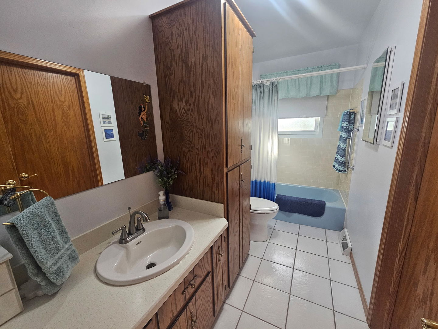 23311 W Peterson Drive, Plainfield, IL 60586