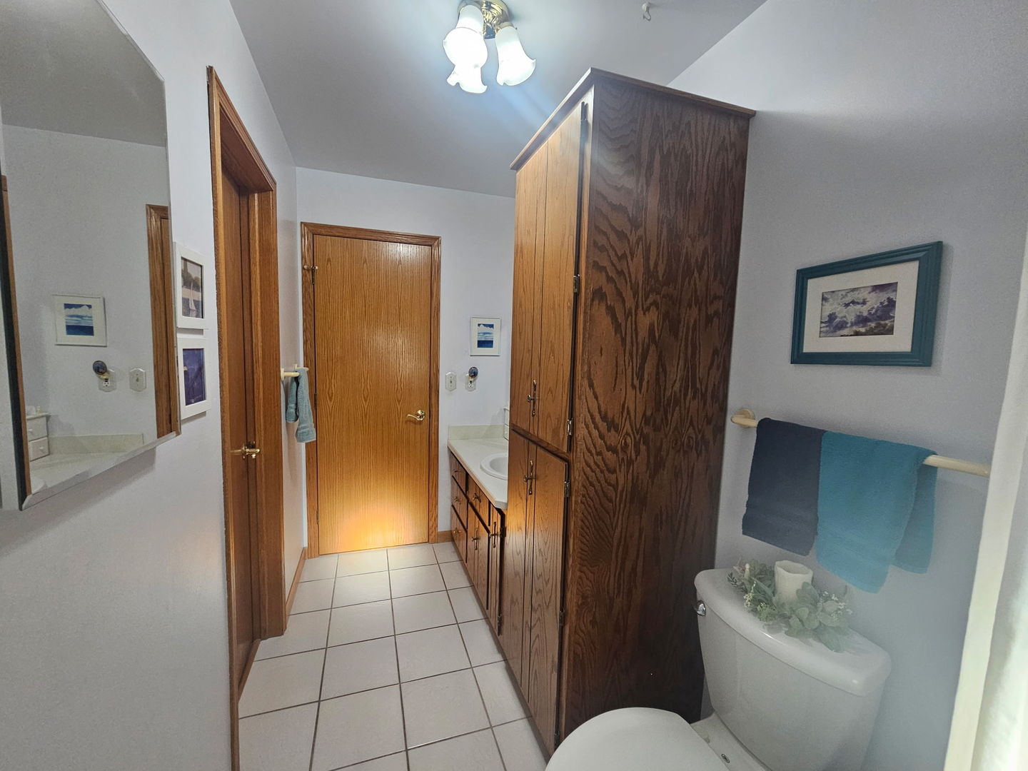 23311 W Peterson Drive, Plainfield, IL 60586