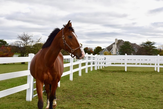 36968 N Thoroughbred Drive, Old Mill Creek, IL 60083