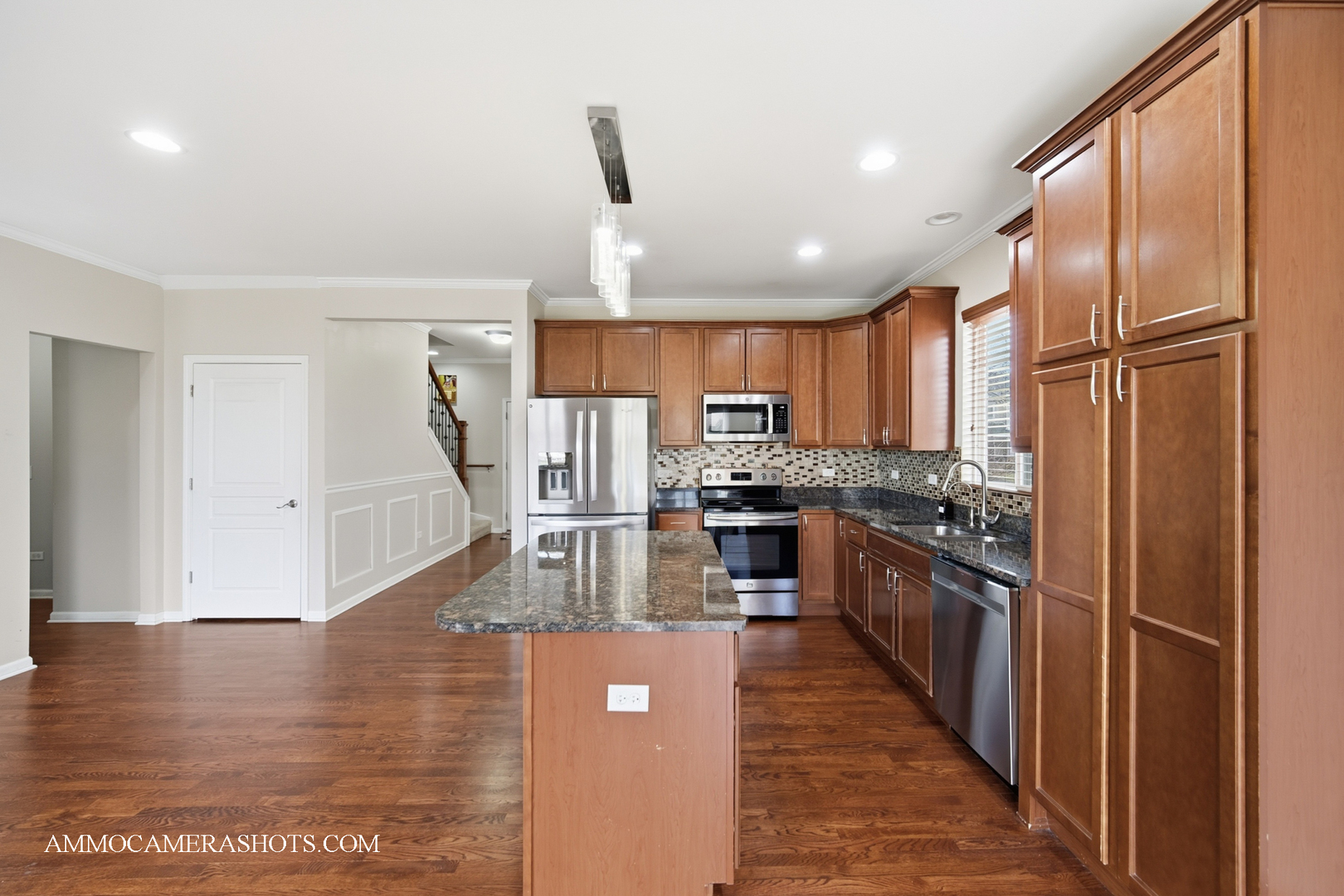 4308 Fraser Circle, Naperville, IL 60564