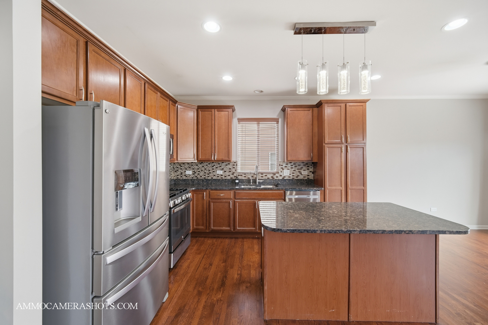 4308 Fraser Circle, Naperville, IL 60564