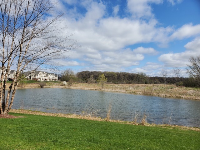 0N068 Forsythe Court, Winfield, IL 60190