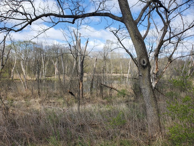 0N068 Forsythe Court, Winfield, IL 60190