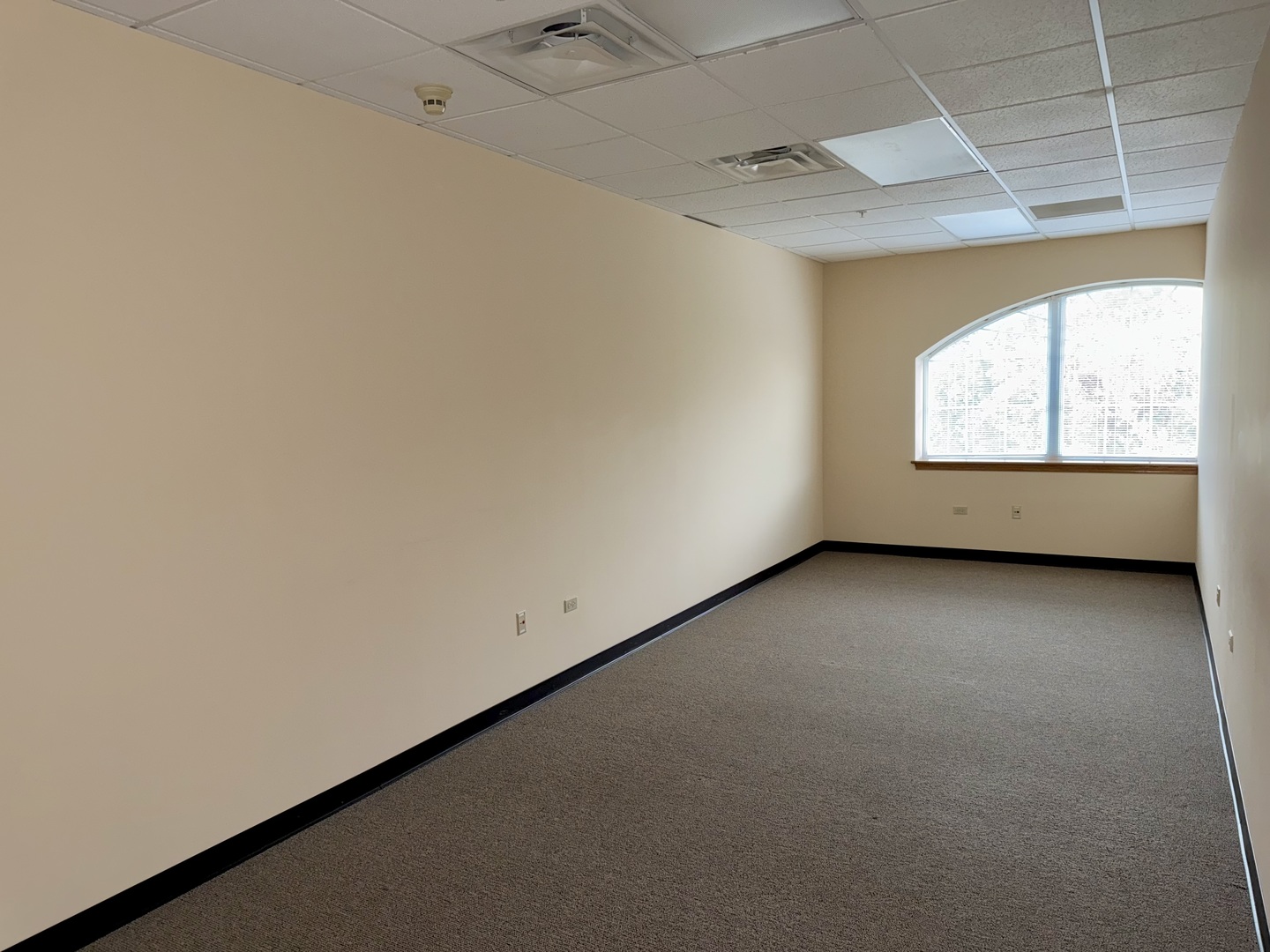 20646 Abbeywood Court #303, Frankfort, IL 60423