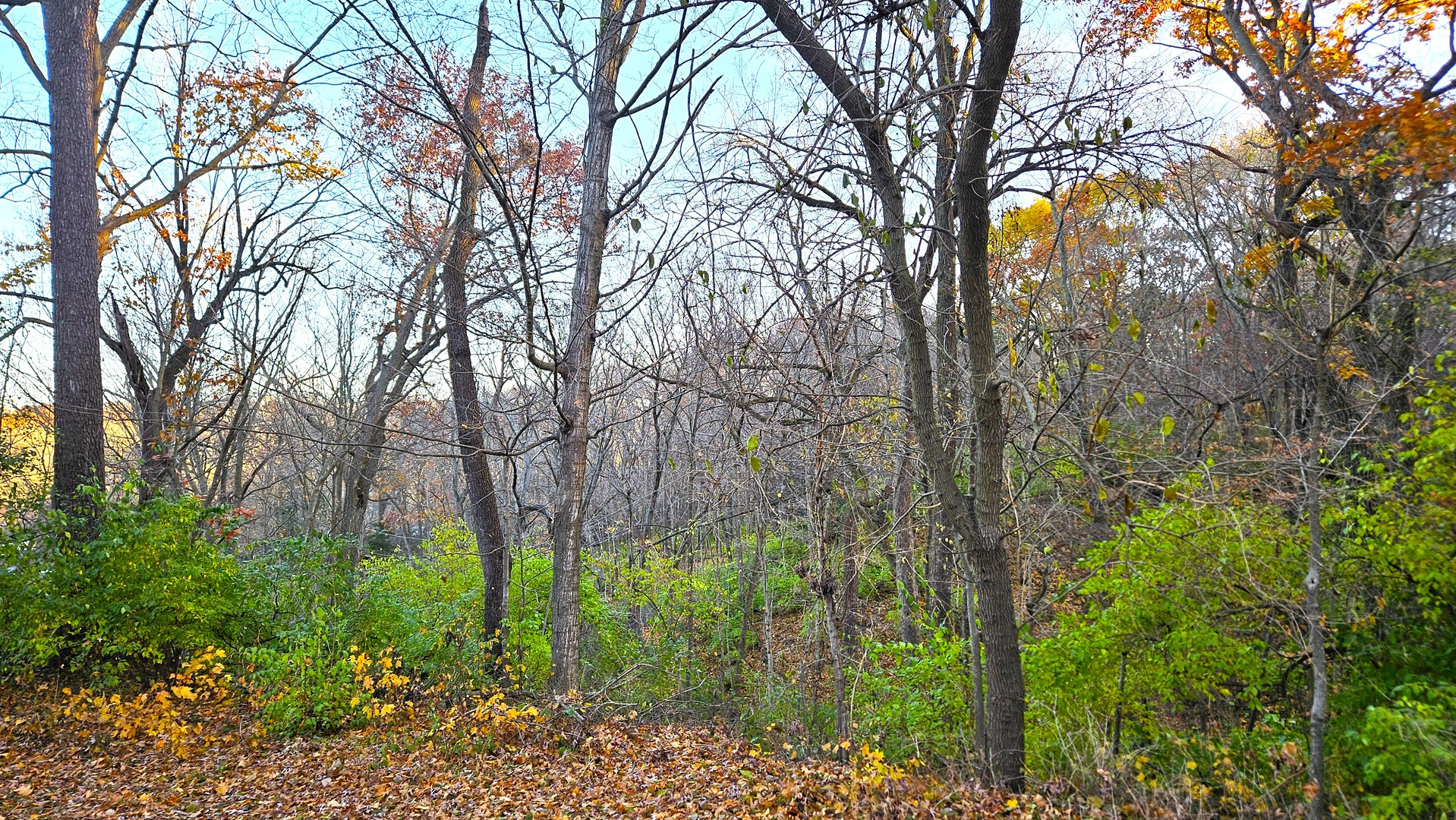 6720 Woodcrest Parkway, Rockford, IL 61109