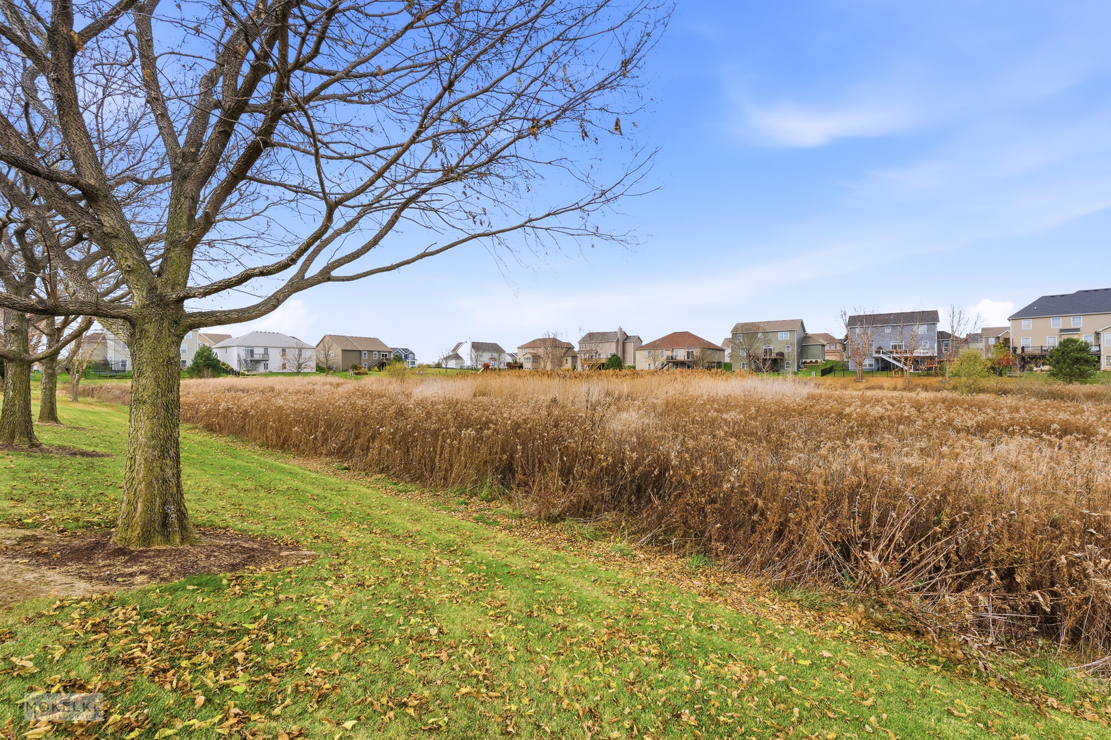 931 S Carly Circle, Yorkville, IL 60560