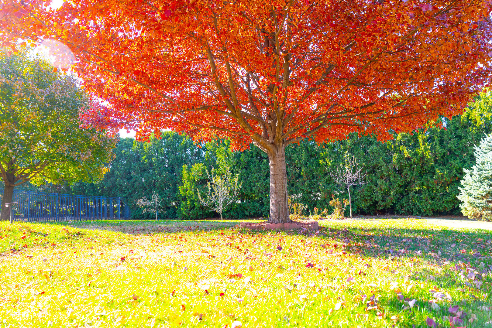 1307 Longford Lane, Bloomington, IL 61704