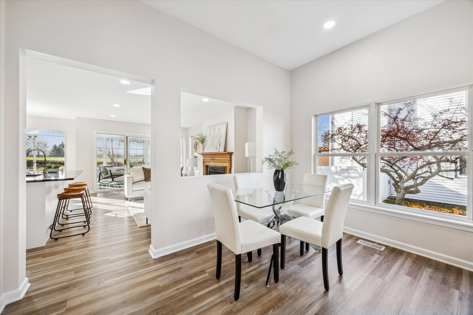 1987 Baldwin Way, Bolingbrook, IL 60490