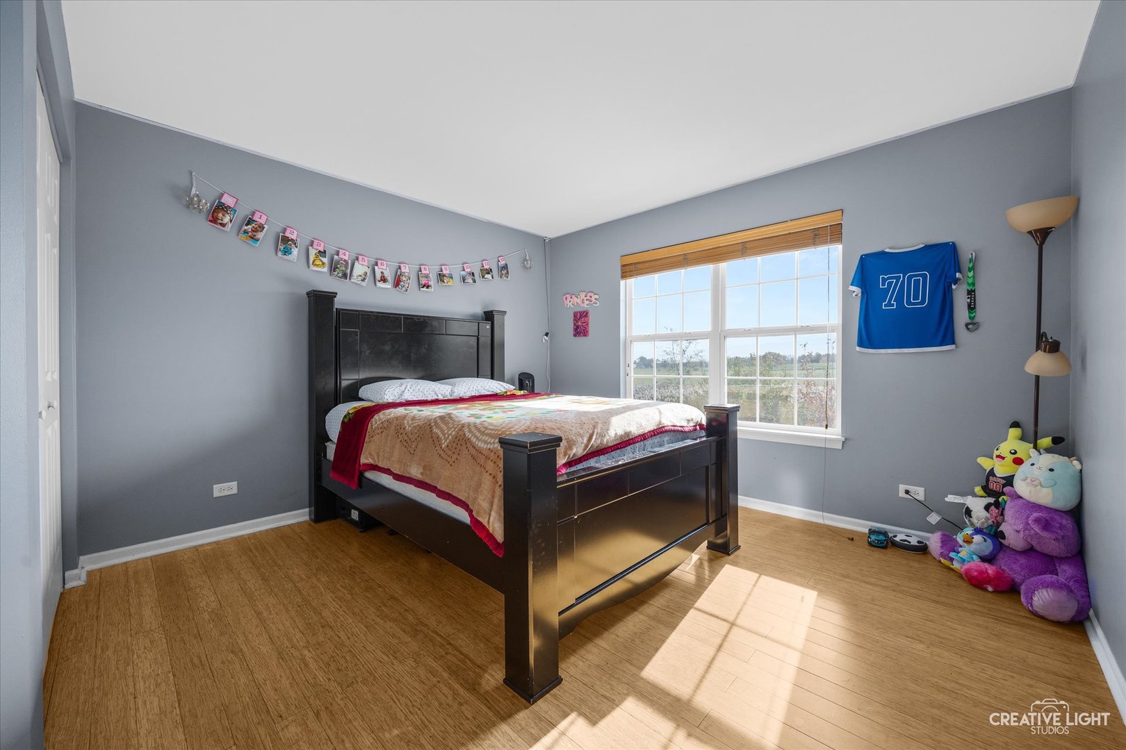 945 Wyndham Drive, South Elgin, IL 60177