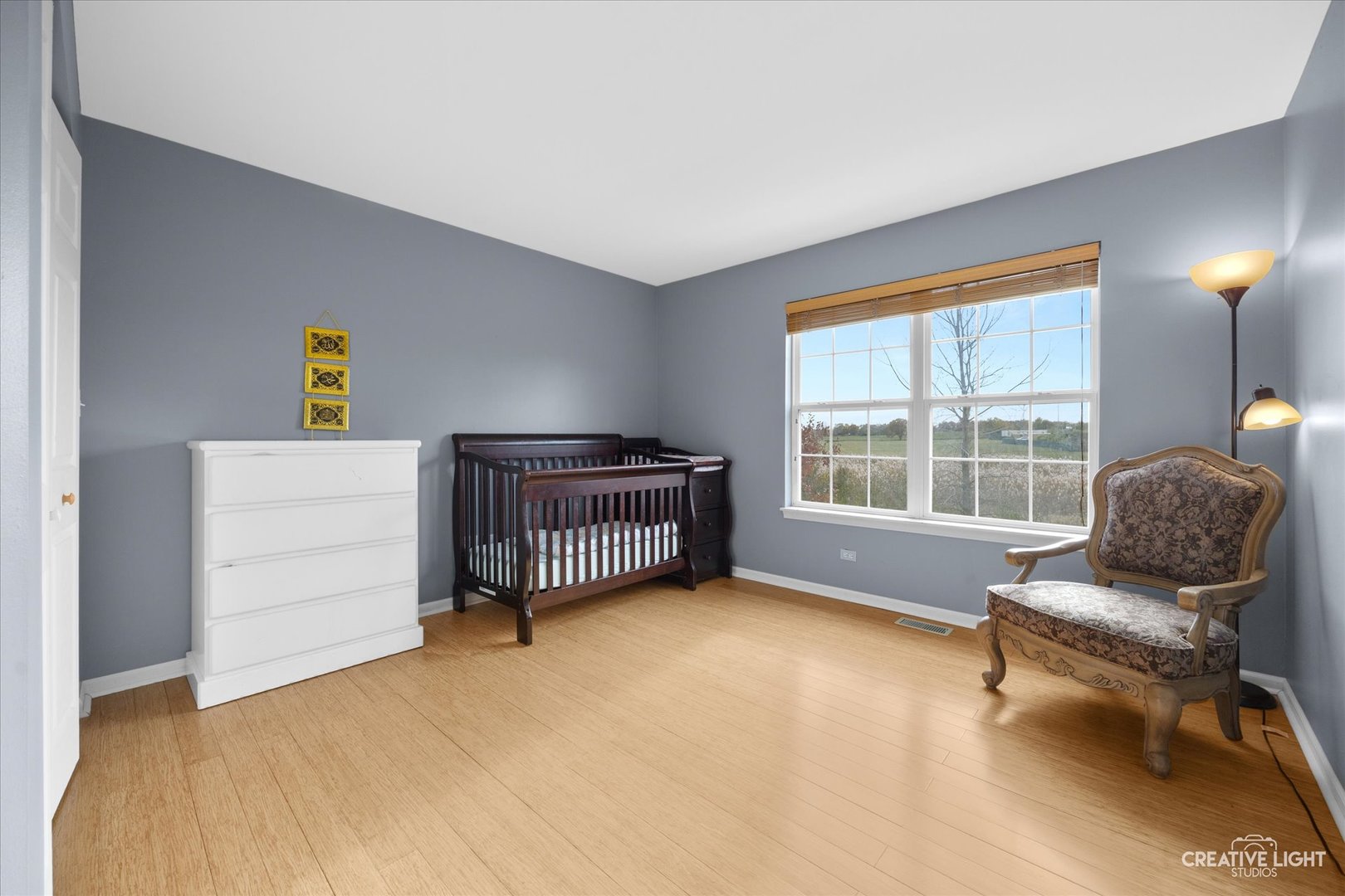 945 Wyndham Drive, South Elgin, IL 60177