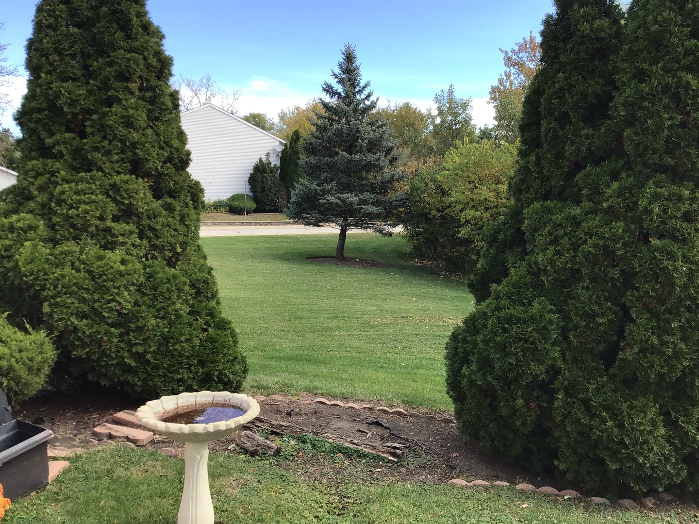 1929 Loomes Avenue, Downers Grove, IL 60516