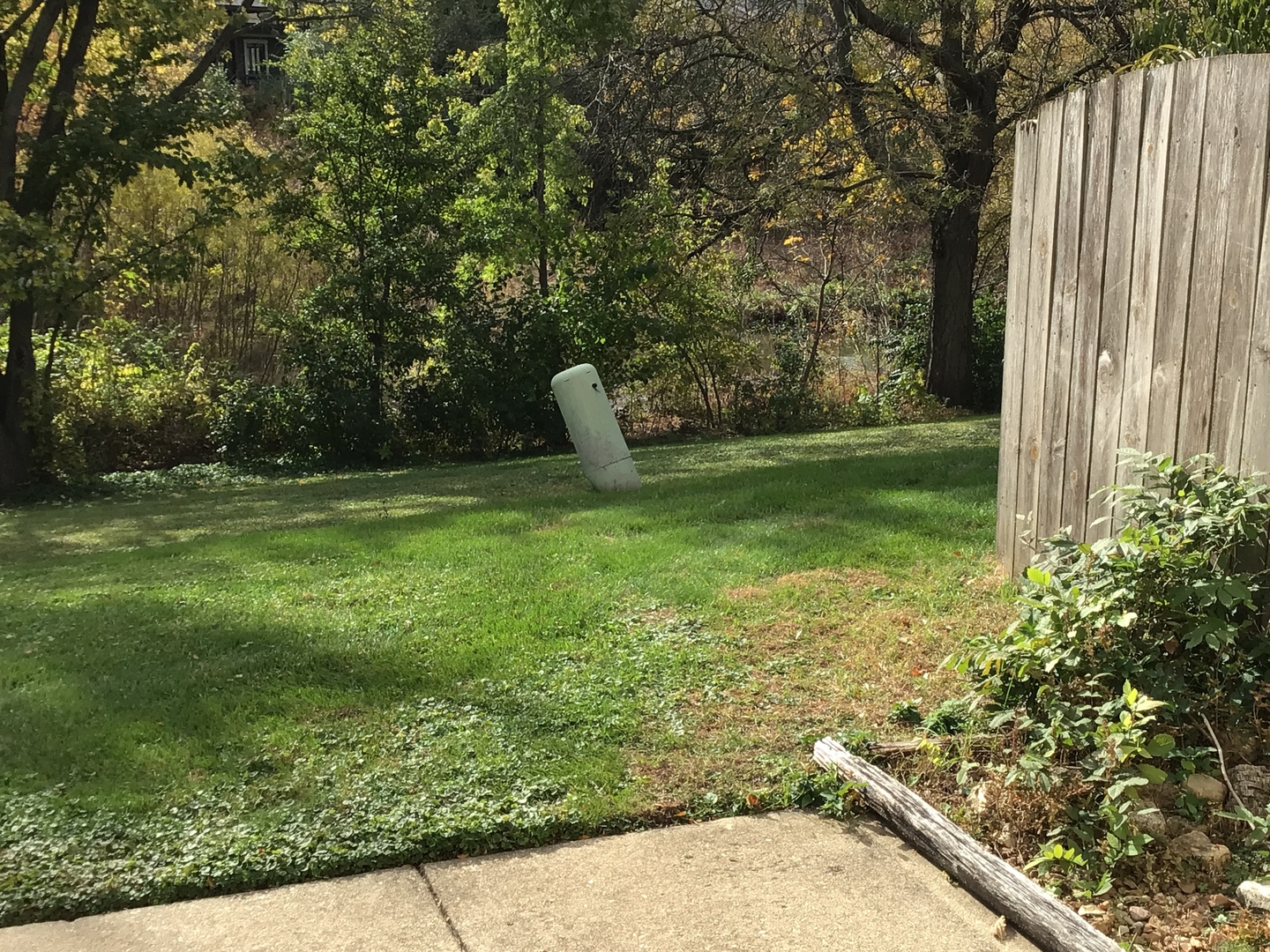 1929 Loomes Avenue, Downers Grove, IL 60516