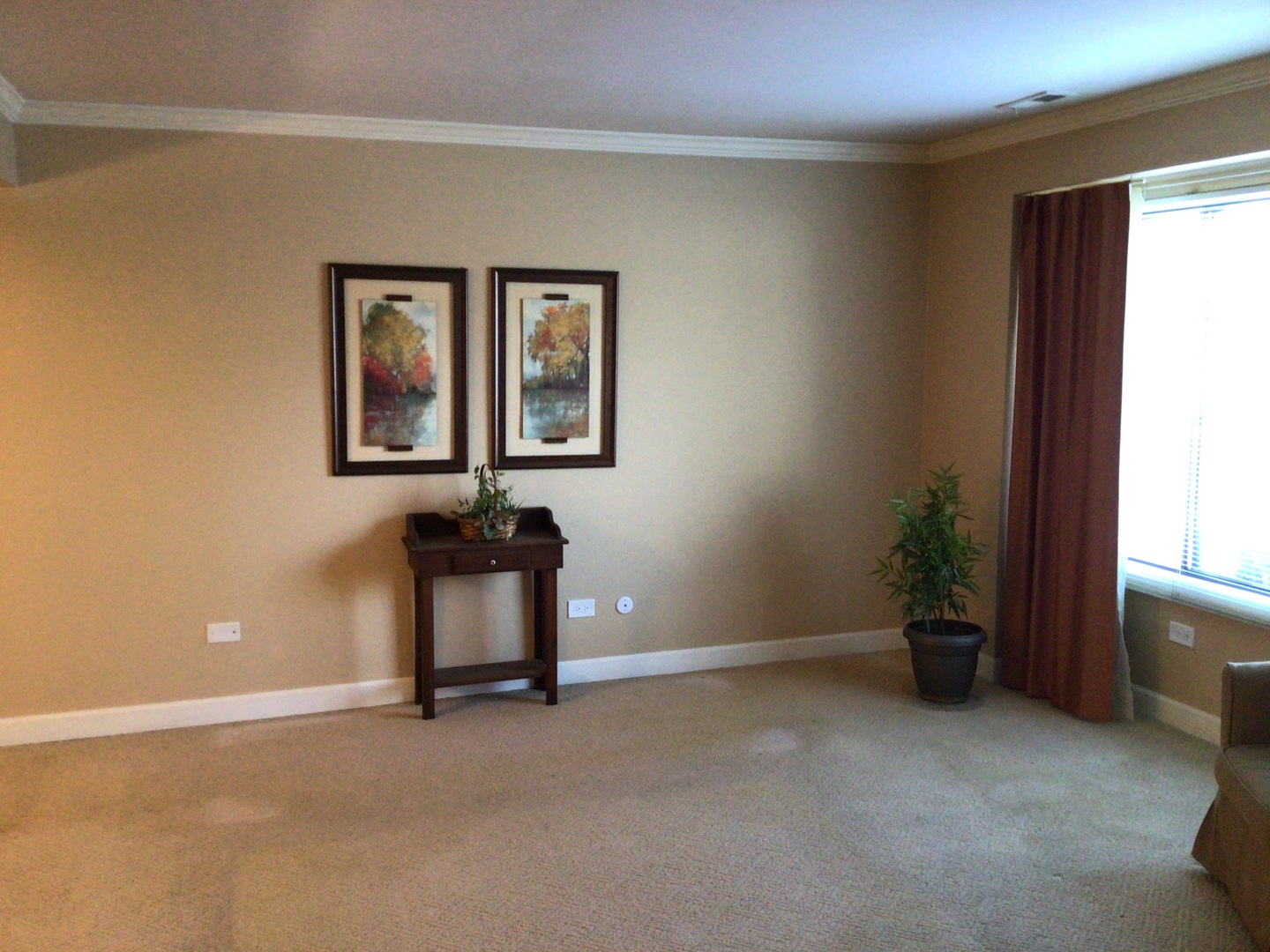 1929 Loomes Avenue, Downers Grove, IL 60516