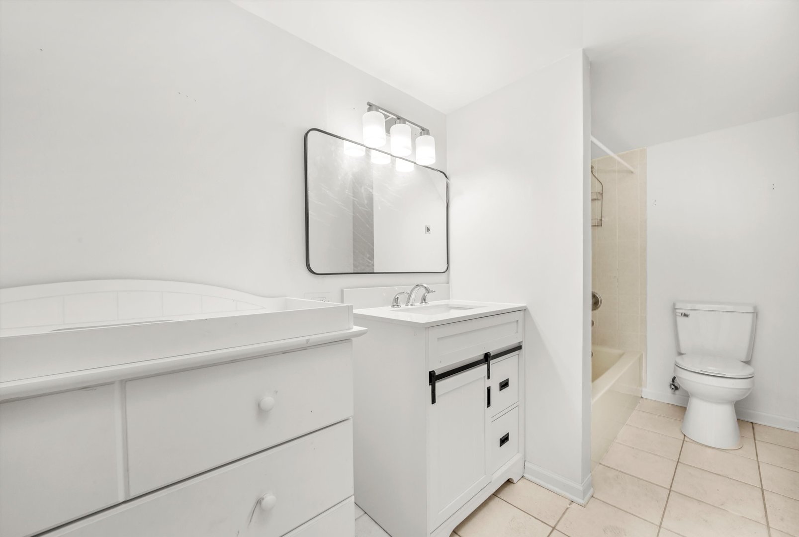 372 White Tail Drive, Grayslake, IL 60030