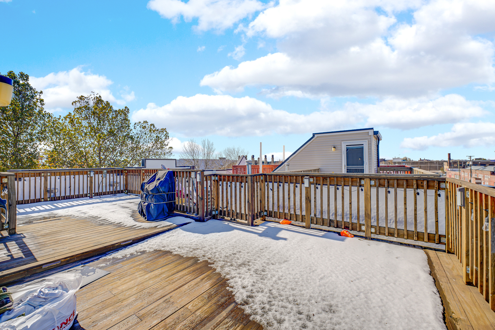 3625 S Morgan Street #C, Chicago, IL 60609