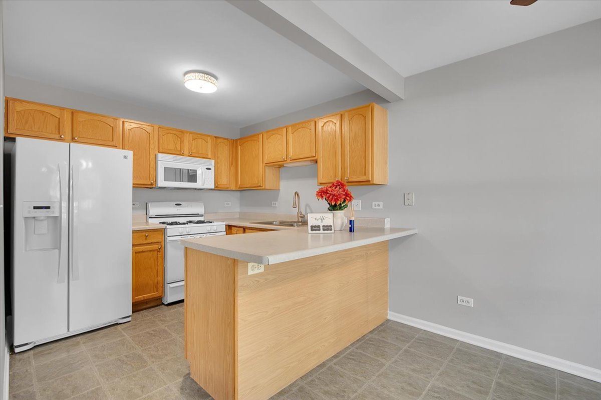 1248 N Red Oak Circle #2, Round Lake Beach, IL 60073