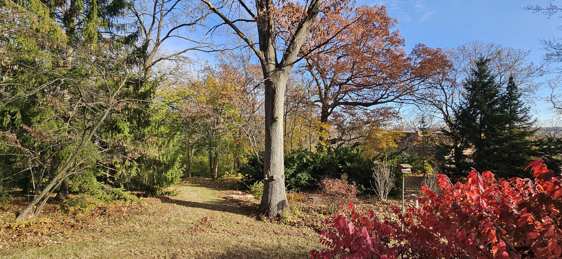 432 Northwest Street, Utica, IL 61373