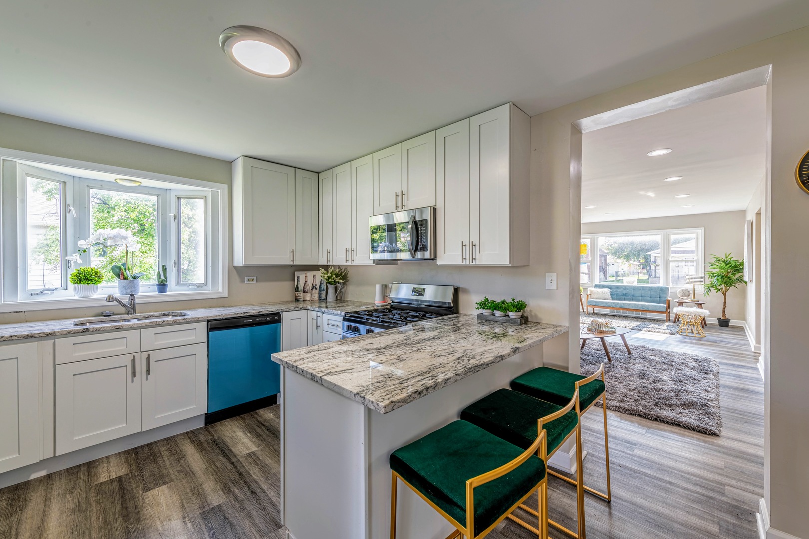 Brookfield, IL 60513