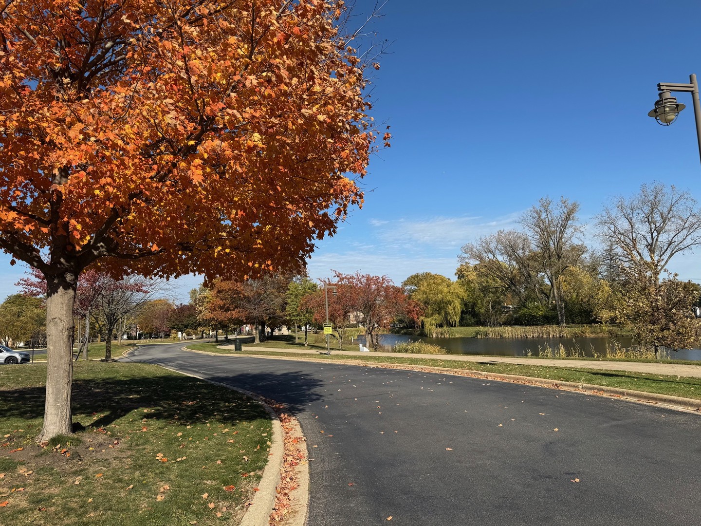 714 E Thacker Street, Des Plaines, IL 60016