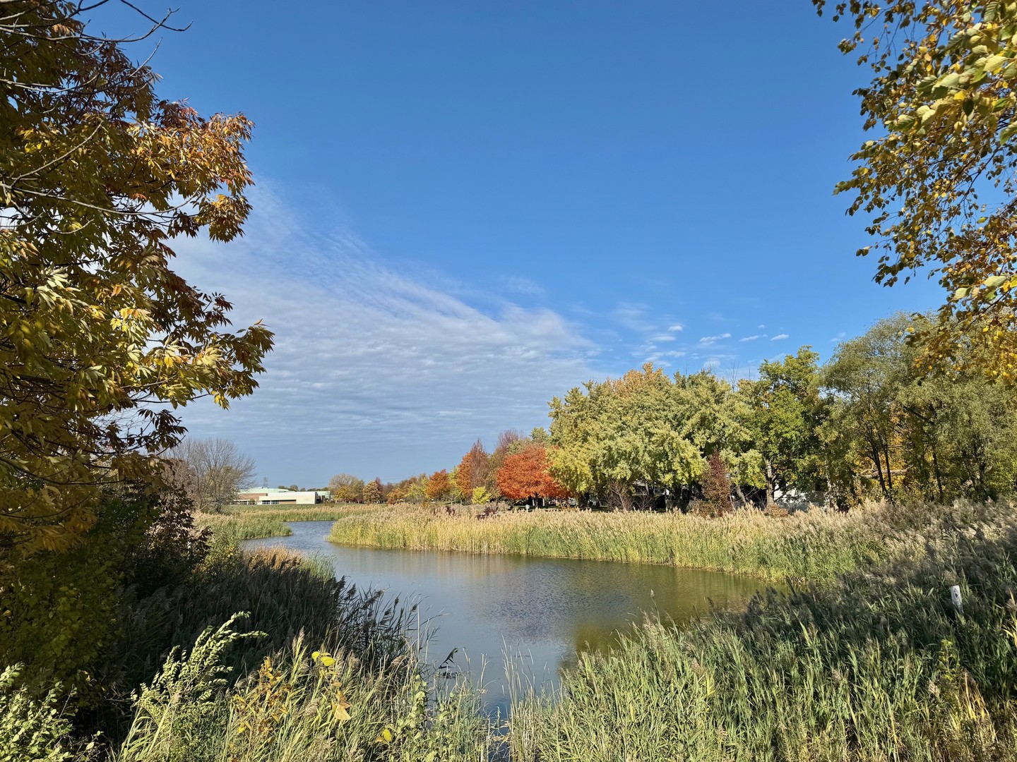 714 E Thacker Street, Des Plaines, IL 60016